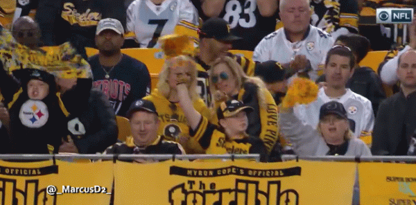 steelers-nation-needs-a-beer