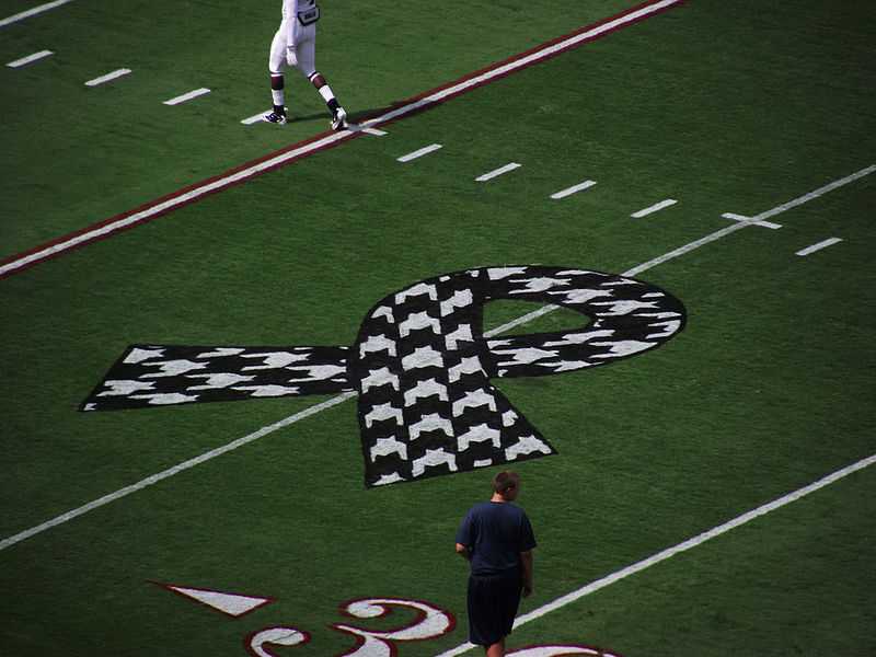 Houndstooth ribbon displayed during the 2011 season at Bryant-Denny Stadium in remembrance of the tornado victims