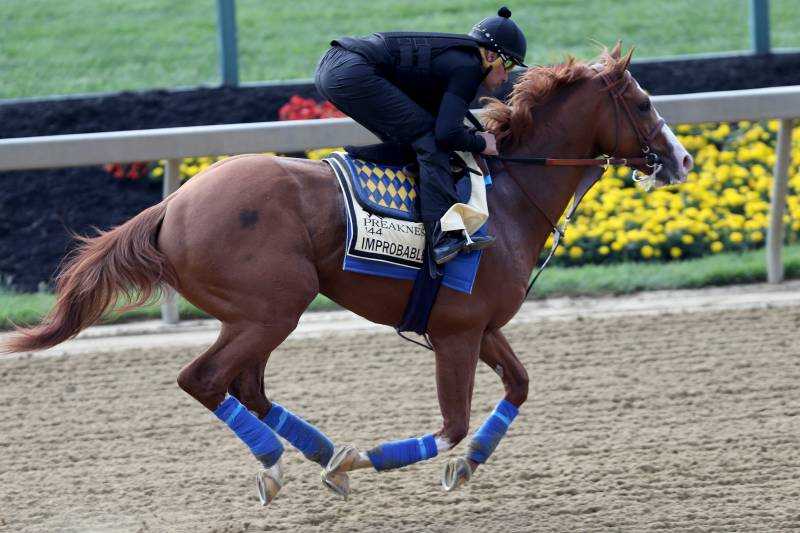  Preakness Stakes: What to Expect from Improbable