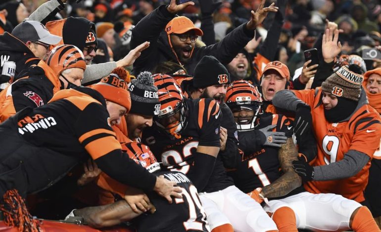 The Bengals Are Not a Team to Overlook