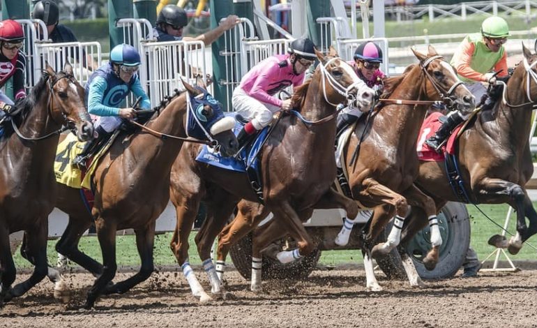  Expert Picks: Five Horses to Bet on the Kentucky Derby 2022