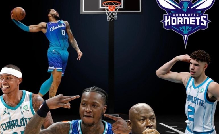  Are the Hornets Good?