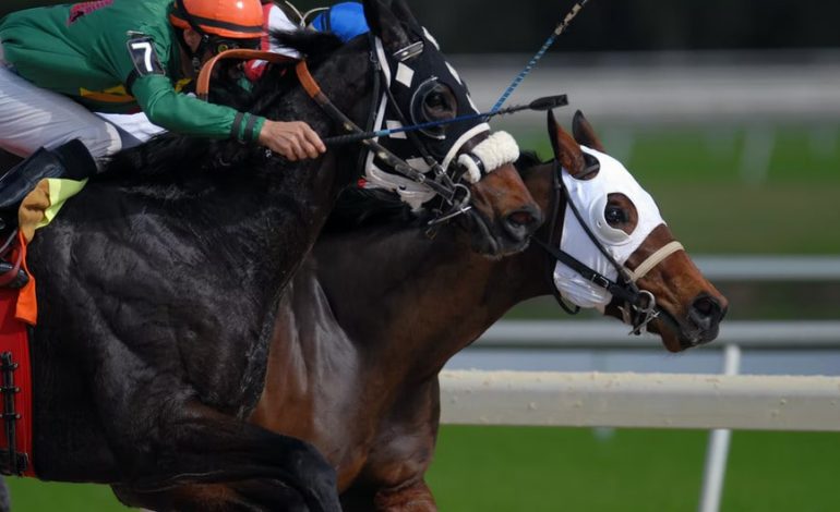  Know Your Bets: How to Wager in the 2022 Preakness Stakes