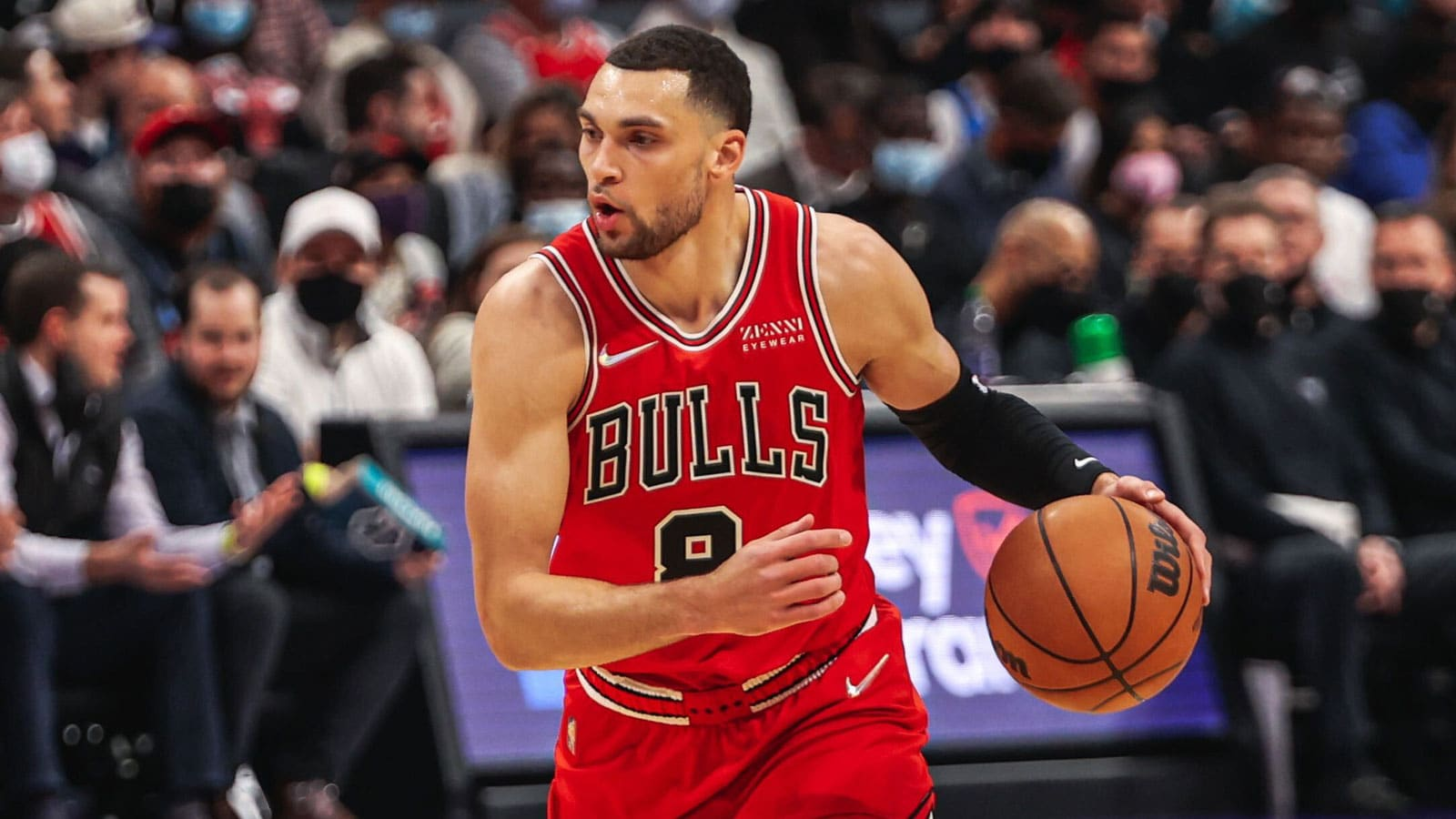 Chicago Bulls Free Agent Grades Belly Up Sports