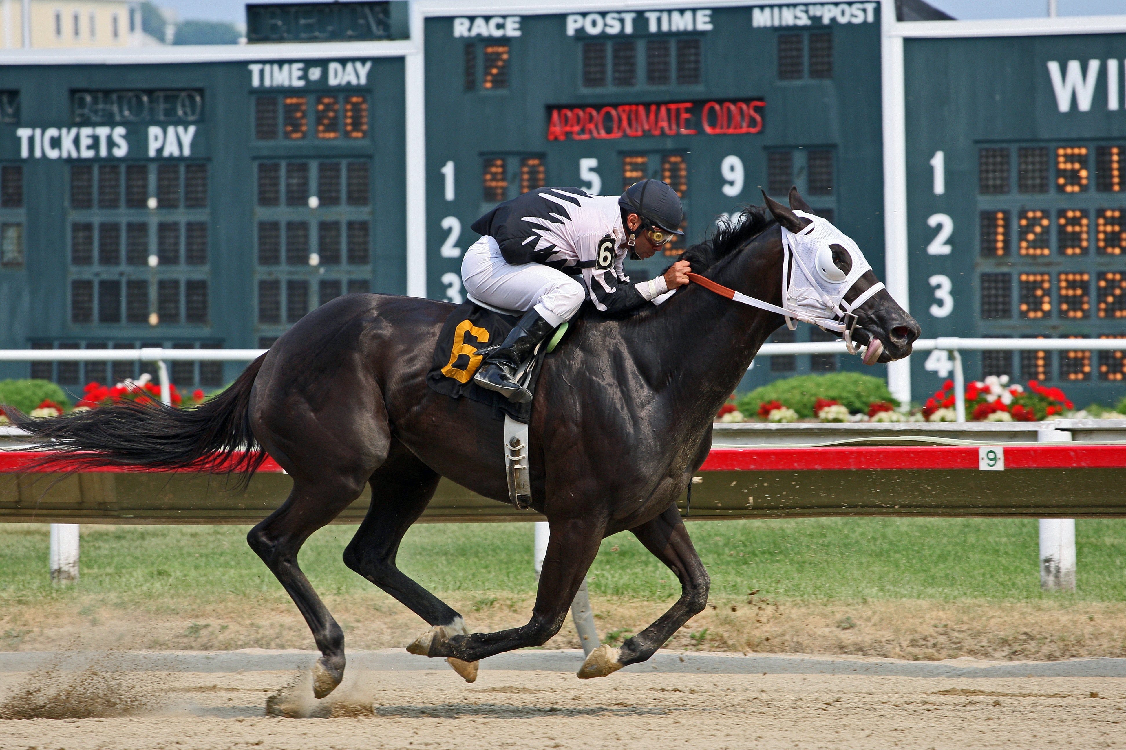  What To Know About Horse Racing Carryovers