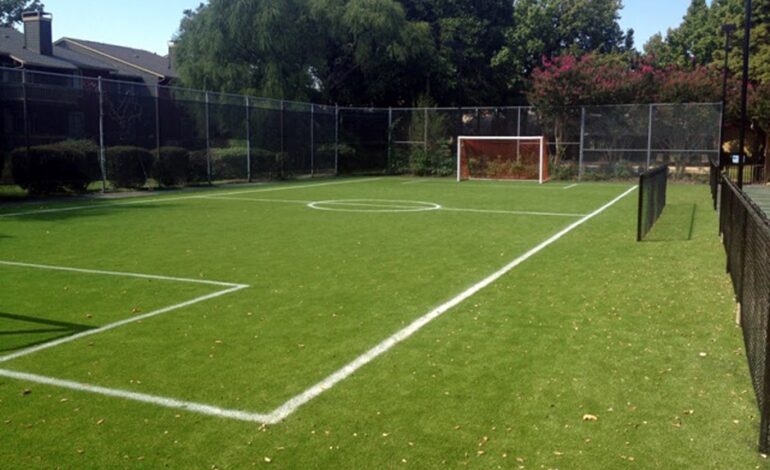  DIY Backyard Soccer Field