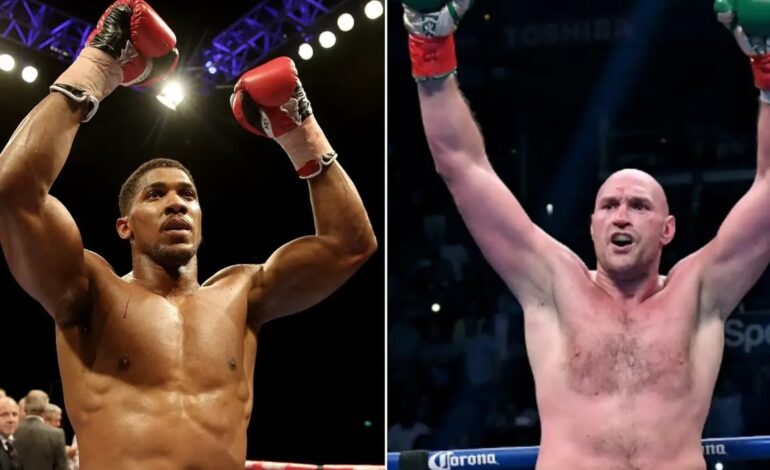 What Might Happen in the Fury vs Joshua Fight
