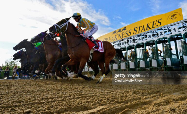  5 Betting Strategies to Dominate the Preakness Stakes